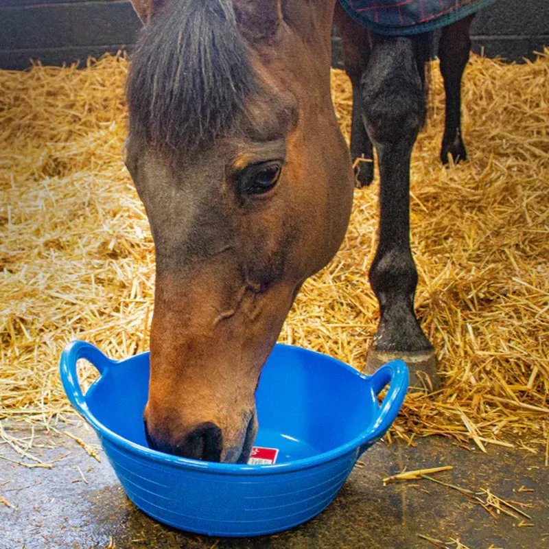 Red Gorilla Plas Small Skip in Blue-1